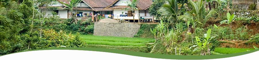 Humanitas header image